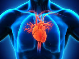 Anaesthesia